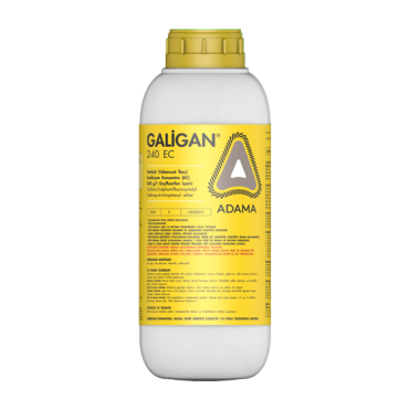 Adama GALİGAN® 240 E...