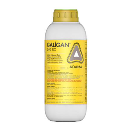 Adama GALİGAN® 240 E...