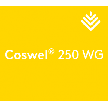 Adama Coswel® 250 WG...