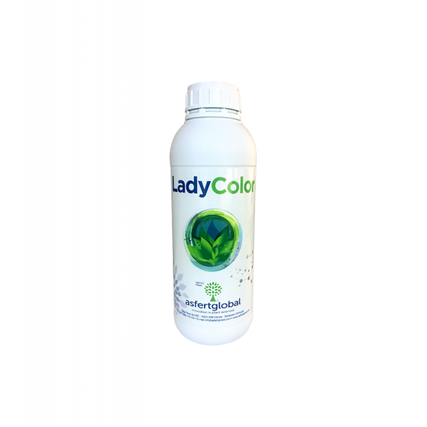 Asfertglobal LADY COLOR Potasyum Çözeltisi 1L