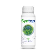 Asfertglobal SYNTOP...