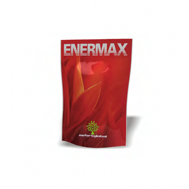 Asfertglobal ENERMAX...