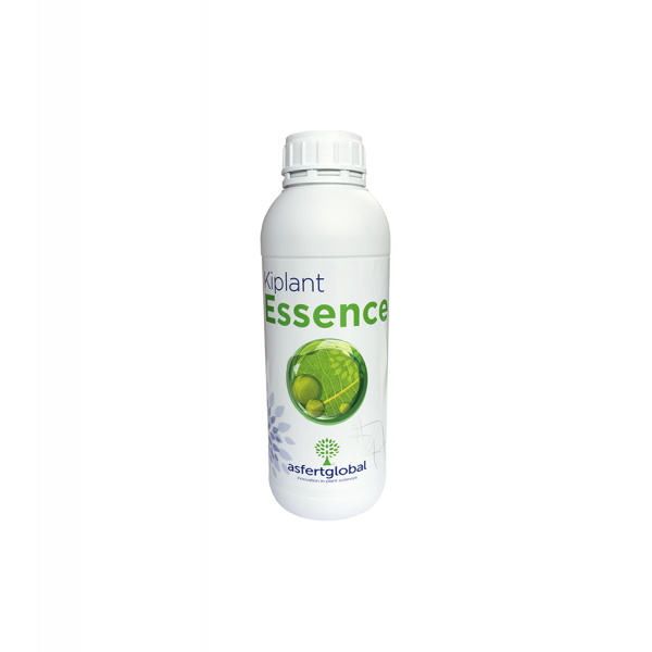 Asfertglobal KIPLANT ESSENCE EC FERTILIZER ÇÖZELTİDE BORATLI GÜBRE (Boron Etanol Âmin İçerikli) 1L
