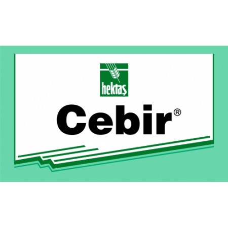 CEBIR®...