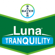 Bayer Luna Tranquili...